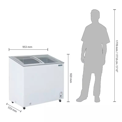 CONGÉLATEUR COFFRE VITRÉ SÉRIE G 200L